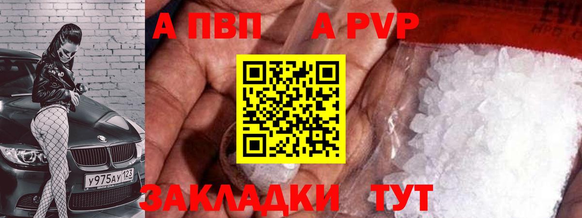 Alfa_PVP СК КРИС Махачкала