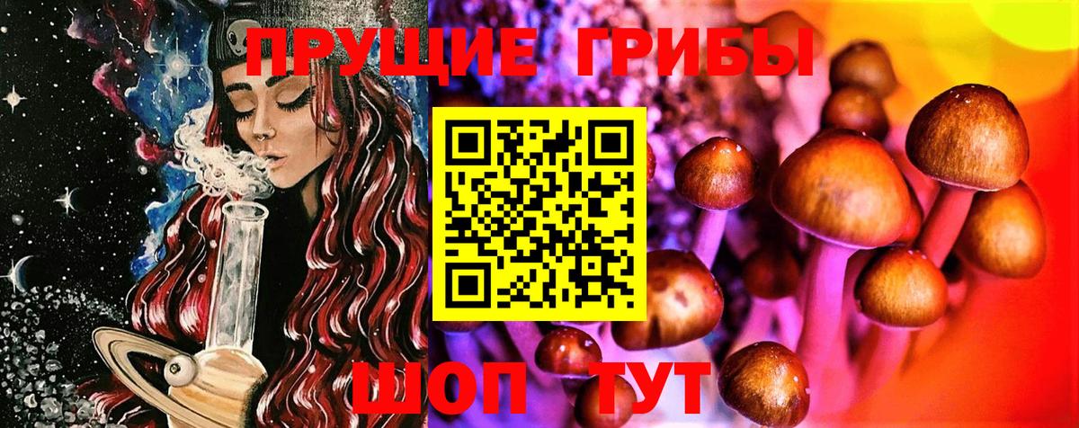 Галлюциногенные грибы MAGIC MUSHROOMS Махачкала