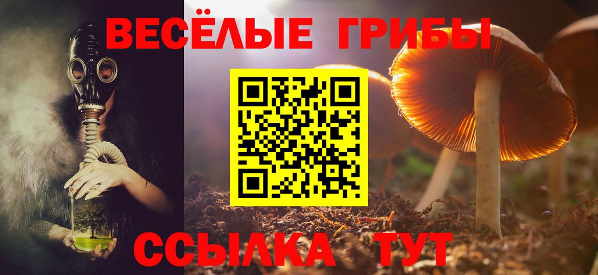 Галлюциногенные грибы MAGIC MUSHROOMS  Вход с VPN  дарнет шоп  Махачкала 